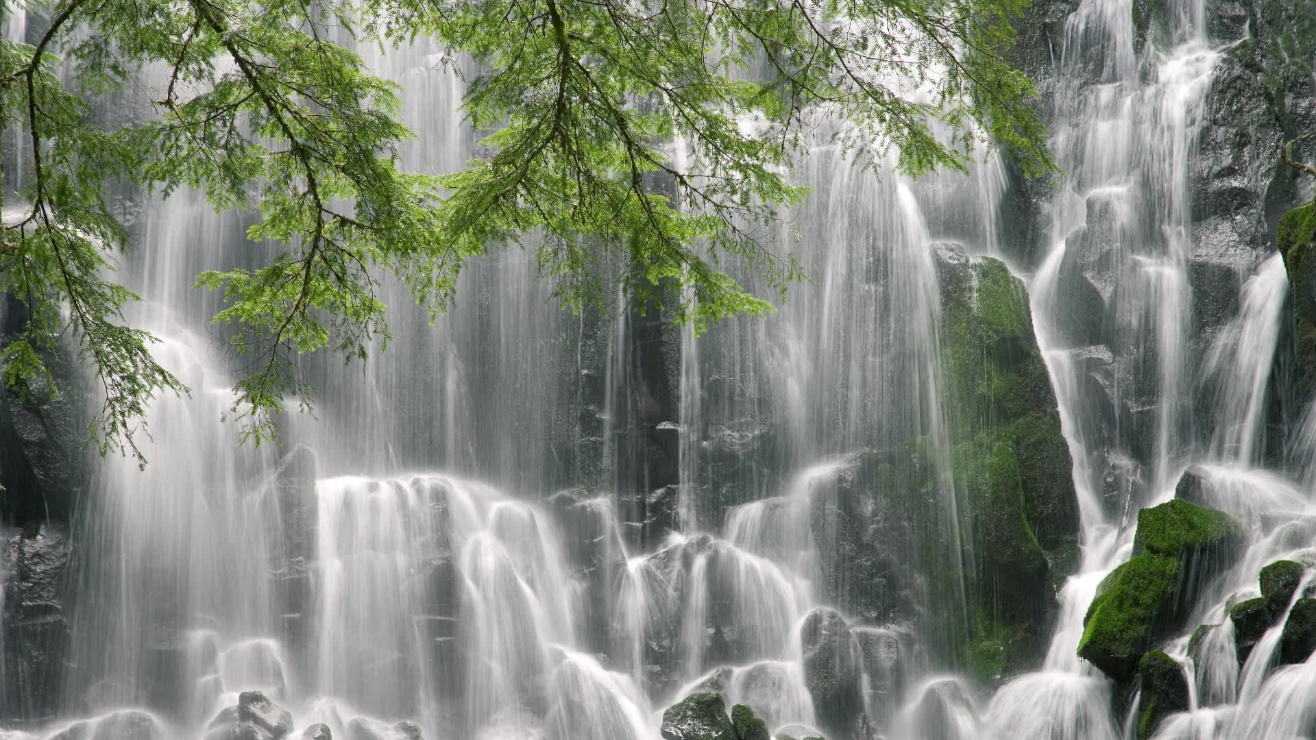 世界登山青年导师长期跟踪研究第九期数据摘要发布，登山专家